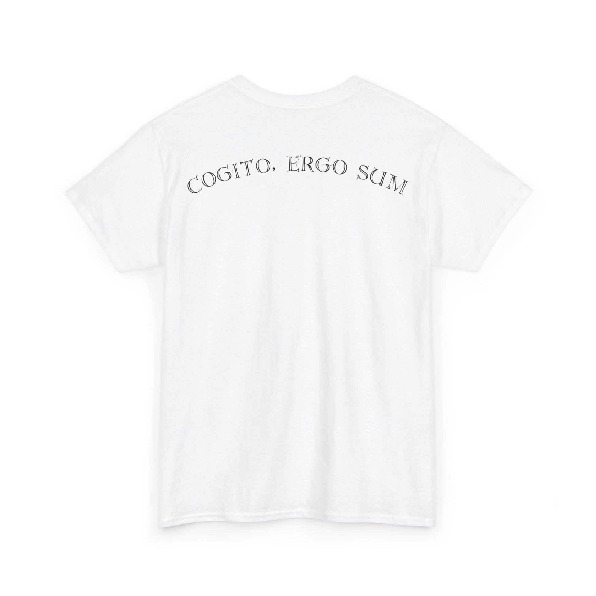 COGITO, ERGO SUM