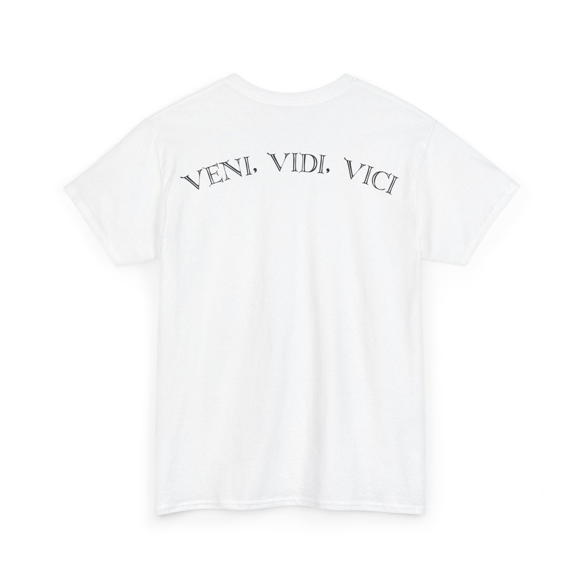 VINI, VIDI, VICI
